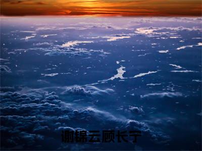 顾长宁谢锦云（谢锦云顾长宁）小说在线阅读-最新小说谢锦云顾长宁（顾长宁谢锦云）全文阅读