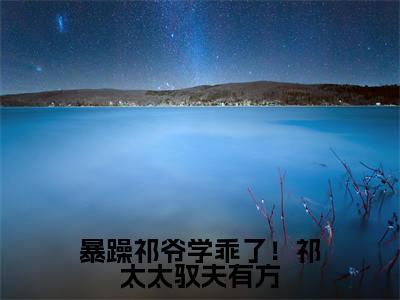 主角叫祁御季唯一的小说-（暴躁祁爷学乖了！祁太太驭夫有方）祁御季唯一全文无弹窗完整版阅读