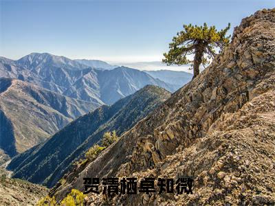 贺清栖卓知微全文免费阅读无弹窗大结局_贺清栖卓知微全文阅读_笔趣阁（卓知微贺清栖）