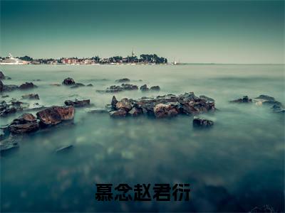 慕念赵君衍（赵君衍慕念）小说小说全集 赵君衍慕念无删减在线阅读