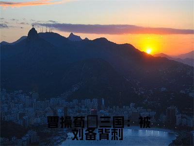 三国：被刘备背刺，此生愿做曹家汉全文免费阅读-（ 曹操荀彧）小说全文免费阅读正版无弹窗
