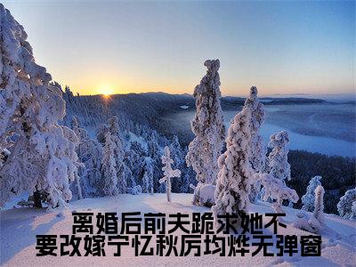 离婚后前夫跪求她不要改嫁宁忆秋厉均烨（ 宁忆秋厉均烨）最新免费小说- 宁忆秋厉均烨（离婚后前夫跪求她不要改嫁宁忆秋厉均烨）全文全章节免费阅读
