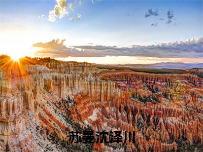 苏曼沈泽川(苏曼沈泽川)小说全文免费阅读无弹窗大结局_苏曼沈泽川小说免费阅读最新章节列表笔趣阁（苏曼沈泽川）
