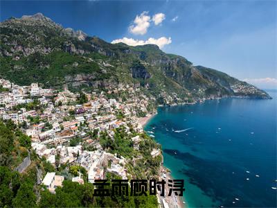 （顾时浔孟雨）全文免费阅读无弹窗大结局_孟雨顾时浔最新章节列表_笔趣阁