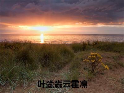 叶淼淼云霍凛(叶淼淼云霍凛小说)全文免费阅读无弹窗大结局_(叶淼淼云霍凛小说免费阅读全文大结局)最新章节列表_笔趣阁（叶淼淼云霍凛小说）