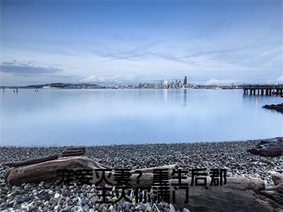 沈嘉懿小说宠妾灭妻？重生后郡主灭你满门全文免费阅读无弹窗-正版小说沈嘉懿全文阅读