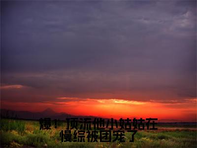 爆！顶流他小姑姑在慢综被团宠了陆绵绵陆聿白完整版最新小说大结局，爆！顶流他小姑姑在慢综被团宠了免费完结版