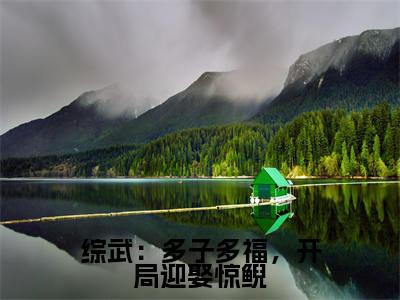 综武：多子多福，开局迎娶惊鲵全文免费阅读无弹窗大结局_综武：多子多福，开局迎娶惊鲵(洛星河)小说结局免费阅读（洛星河）