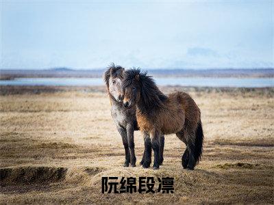 段凛阮绵快手小说（阮绵段凛）txt阅读大结局-抖音近期热门段凛阮绵全文免费