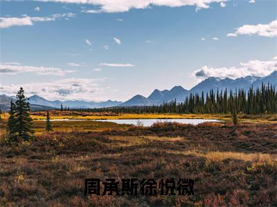周承斯徐悦微小说免费阅读周承斯徐悦微小说全文免费阅读_（周承斯徐悦微）周承斯徐悦微最新章节列表笔趣阁