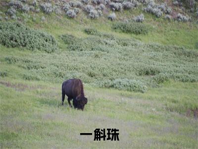 一斛珠小说无弹窗（叶崇磬郗屹湘）全文免费阅读无弹窗大结局_(叶崇磬郗屹湘）叶崇磬郗屹湘最新章节列表_笔趣阁（一斛珠）