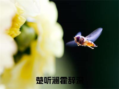楚听澜霍辞深楚听澜霍辞深多人追免费无弹窗小说,楚听澜霍辞深已完结全集大结局