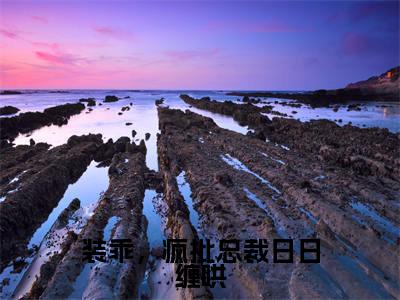 姜茶裴轻寂精彩小说-装乖，疯批总裁日日缠哄全章节免费阅读
