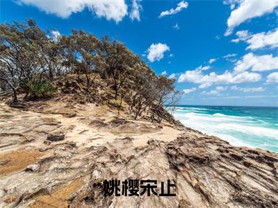 姚樱宋止是什么小说 姚樱宋止正版小说免费阅读_笔趣阁