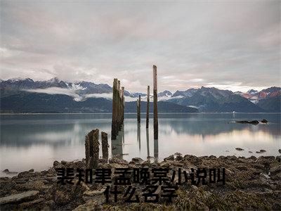  裴知聿孟晚棠（裴知聿孟晚棠小说叫什么名字小说）全文免费阅读无弹窗大结局_裴知聿孟晚棠小说叫什么名字全文免费阅读（ 裴知聿孟晚棠小说）最新章节列表_笔趣阁（裴知聿孟晚棠小说叫什么名字）