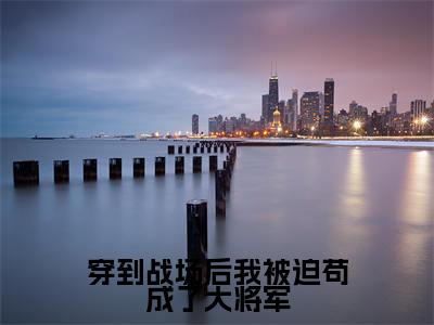 苏梨全文免费阅读无弹窗大结局_(苏梨)最新章节列表笔趣阁（穿到战场后我被迫苟成了大将军）