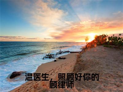 温医生，照顾好你的顾律师全网首发最新小说-顾晚晚温旧全文在线免费阅读