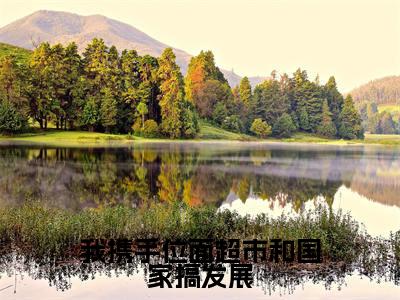 我携手位面超市和国家搞发展热文小说全文阅读-精彩美文唐清溪免费阅读