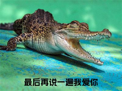 白幻羽陆梓茗小说（最后再说一遍我爱你）全文免费读无弹窗大结局_白幻羽陆梓茗小说免费阅读-笔趣阁（最后再说一遍我爱你）