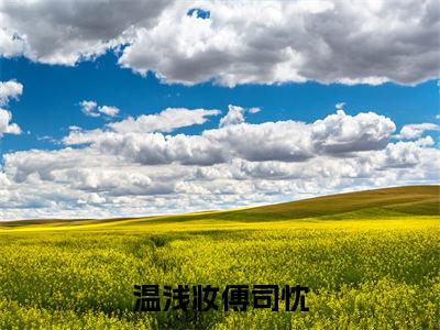 【新书】《温浅妆傅司忱》全文免费阅读无弹窗大结局-傅司忱温浅妆全章节免费阅读