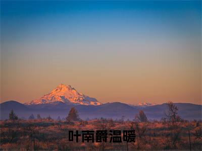 温暖叶南爵小说叶南爵温暖完整版大结局-温暖叶南爵小说完结版在线阅读