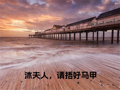 沐夫人，请捂好马甲 小说全文- 阮曦沐时煜无弹窗免费阅读