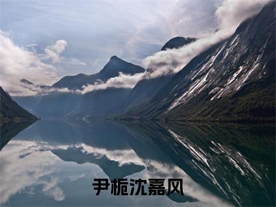 沈嘉风尹栀（尹栀沈嘉风）全文免费阅读无弹窗-尹栀沈嘉风完整版全文在线赏析