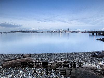 宠妾灭妻？这首辅夫人，我不当了（苏青玉全章节完整版）免费阅读_（苏青玉）宠妾灭妻？这首辅夫人，我不当了全文无删减免费阅读