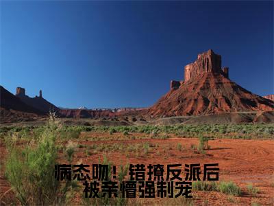 姜黎傅知言为姜黎傅知言的小说叫什么-最新小说病态吻！错撩反派后被亲懵强制宠全文阅读