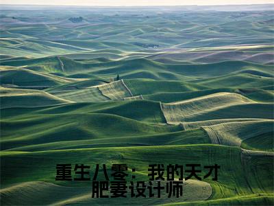 重生八零：我的天才肥妻设计师（宋涵顾宸之）全文免费阅读-重生八零：我的天才肥妻设计师（宋涵顾宸之）最新章节小说阅读