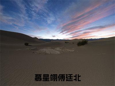 慕星翊傅廷北（傅廷北慕星翊）全文免费阅读无弹窗_傅廷北慕星翊小说_笔趣阁