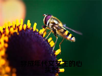 赵雪滢康明煦小说穿成年代文女主的心头刺完整版全文在线赏析-小说赵雪滢康明煦全文大结局已完结