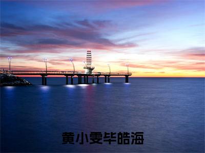 黄小雯毕皓海（毕皓海黄小雯）经典小说全文免费阅读无弹窗_（毕皓海黄小雯）小说全文免费阅读最新章节_笔趣阁