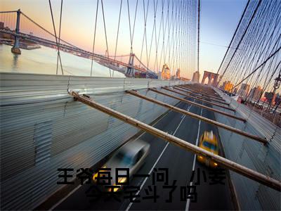 江锦心是什么小说-小说王爷每日一问，小妾今天宅斗了吗全文阅读