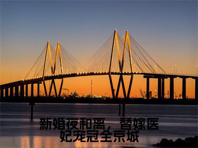 新婚夜和离，替嫁医妃宠冠全京城全文免费阅读_（沐云姝容九思免费阅读无弹窗）新婚夜和离，替嫁医妃宠冠全京城最新章节列表笔趣阁（沐云姝容九思）