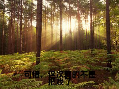 可惜，这次真的不是把戏了小说全文-可惜，这次真的不是把戏了（云芸慕容时）最新章节免费阅读