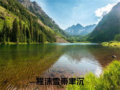 秦聿沉程沫雪(程沫雪秦聿沉)全文免费阅读无弹窗大结局_(秦聿沉程沫雪小说全文大结局)程沫雪秦聿沉全章节免费在线阅读