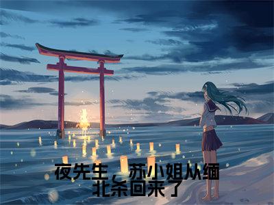 夜先生，苏小姐从缅北杀回来了（苏清婉夜寻）免费阅读完整版-（夜先生，苏小姐从缅北杀回来了小说）苏清婉夜寻全文大结局已完结