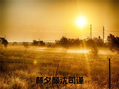 林夕颜沈司谨免费小说_沈司谨林夕颜免费最新章节列表_笔趣阁