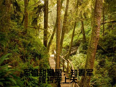 军婚甜蜜蜜：知青军嫂被宠上天全文免费阅读无弹窗-（沈安念秦正祁）军婚甜蜜蜜：知青军嫂被宠上天最新章节列表在线阅读