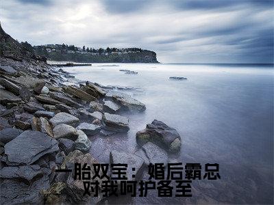 一胎双宝：婚后霸总对我呵护备至（ 容雪涵容舒）完整版全文在线赏析-一胎双宝：婚后霸总对我呵护备至精彩美文摘抄
