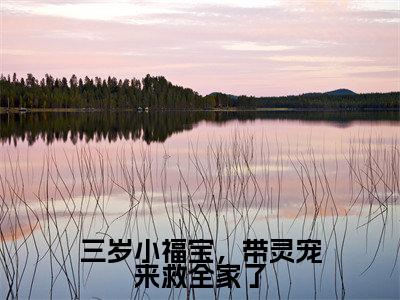 江妙妙小说（三岁小福宝，带灵宠来救全家了）全文免费阅读无弹窗大结局_三岁小福宝，带灵宠来救全家了小说最新章节列表_笔趣阁（江妙妙）