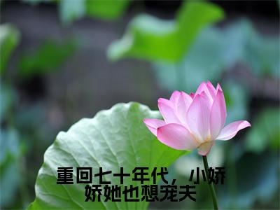 重回七十年代，小娇娇她也想宠夫(沈衡白娇娇)全文免费阅读大结局_(重回七十年代，小娇娇她也想宠夫)沈衡白娇娇免费在线阅读无删减_笔趣阁