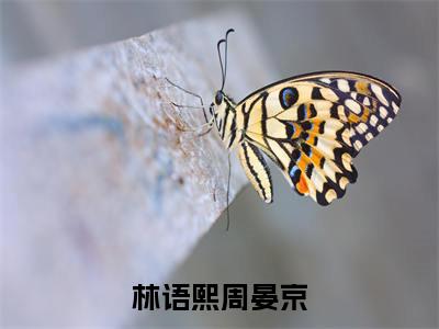 林语熙周晏京（周晏京林语熙）全文免费阅读_林语熙周晏京最新章节小说免费阅读_笔趣阁