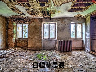 白楹林思渡小说（林思渡白楹）热推新书_白楹林思渡最新章节在线阅读_笔趣阁