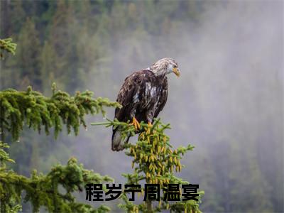 程岁宁周温宴（周温宴程岁宁小说）全文免费阅读无弹窗大结局_程岁宁周温宴全文免费阅读_笔趣阁