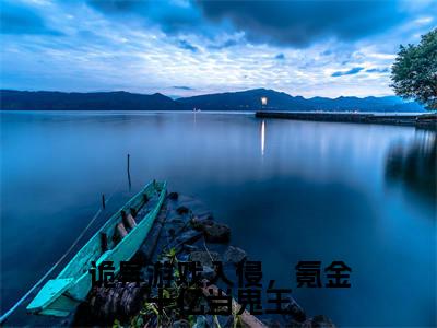 林恩（诡异游戏入侵，氪金十亿当鬼王）精选小说大结局阅读-抖音新书热荐林恩