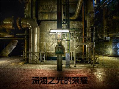 安柠欧凌远(深海之光的荣耀小说)全文免费阅读无弹窗大结局_(深海之光的荣耀小说免费阅读全文大结局)最新章节列表_笔趣阁（深海之光的荣耀小说）