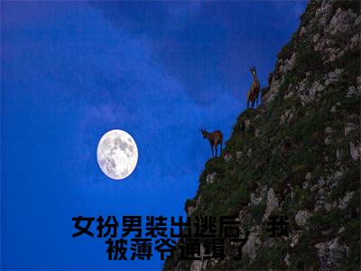 游离薄夜（女扮男装出逃后，我被薄爷通缉了 小说）全文免费阅读无弹窗大结局_(游离薄夜小说)女扮男装出逃后，我被薄爷通缉了 最新章节列表_笔趣阁（游离薄夜）