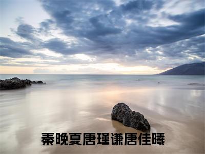 唐佳曦秦晚夏唐瑾谦（秦晚夏唐瑾谦唐佳曦）全文免费阅读无弹窗大结局_（秦晚夏唐瑾谦唐佳曦）唐佳曦秦晚夏唐瑾谦最新章节列表